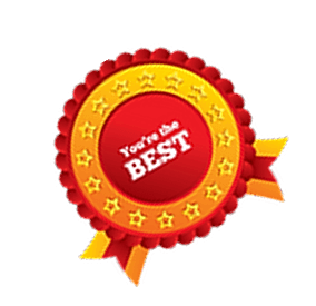 /imgs/badge.png